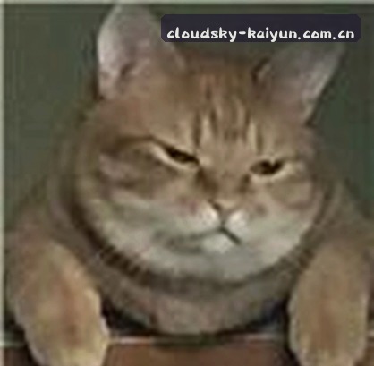 陈静